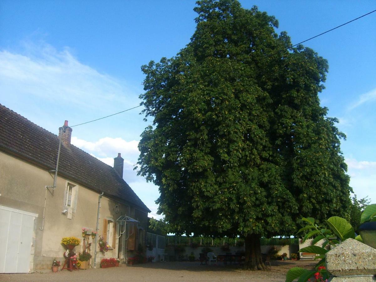 Armalou Bed and Breakfast Pouilly-sur-Loire Exterior foto